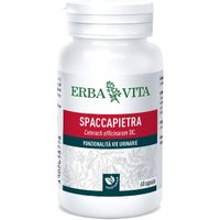 Vendita SPACCAPIETRA 60 CAPSULE 300 MG in offerta su farmacia online