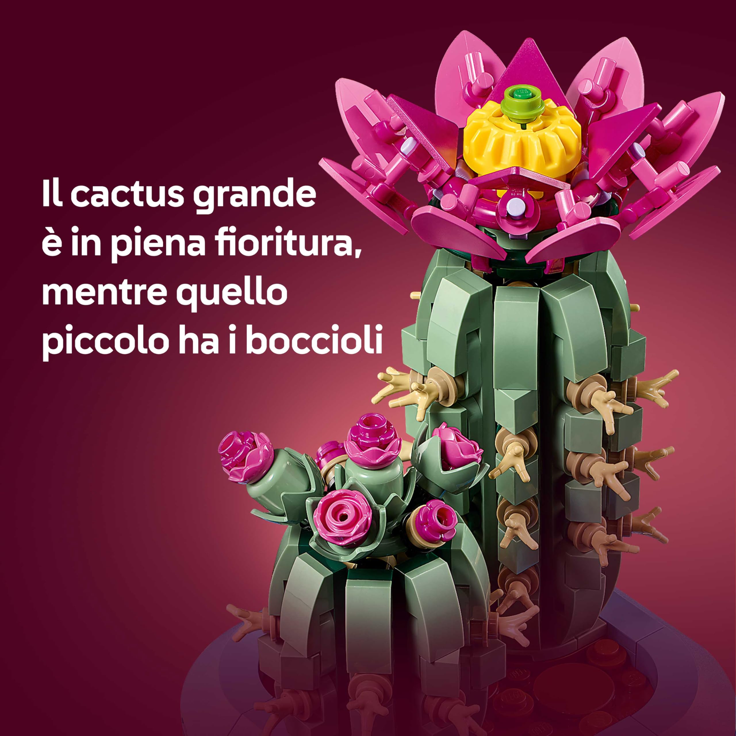 LEGO Botanicals Cactus in Fiore - Pianta Artificiale in Vaso con 2 Cactus e Fiori Finti - Decorazione Fai da Te per Camera da Letto - Regalo per Bambine da 9 Anni e Adulti Amanti delle Piante - 11509 immagine 5